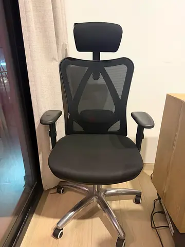 Ergonomic Mesh Office Chair with Headrest and Adjustable Armrests