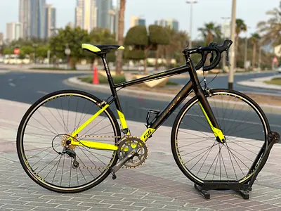 Silverback Roadbike