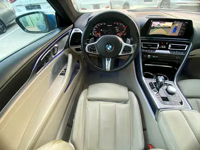 2019 BMW 8-SERIES — фото 13