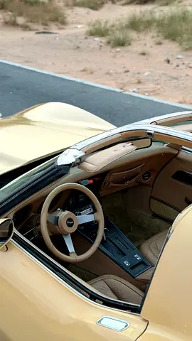1977 Chevrolet CORVETTE — фото 8