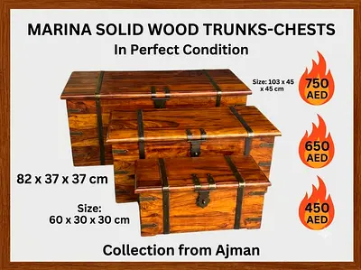 Marina solid wood trunks