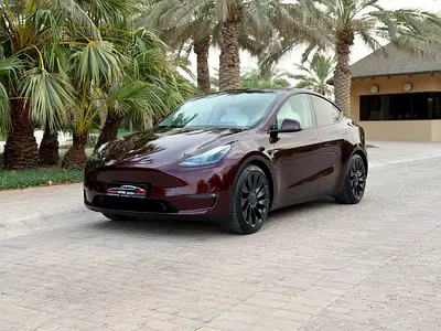 Tesla Model Y Performance 2024 GCC Specs - Brand New Condition