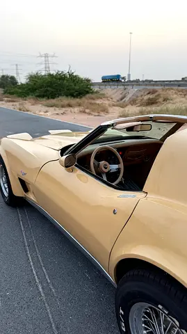 1977 Chevrolet CORVETTE — фото 11