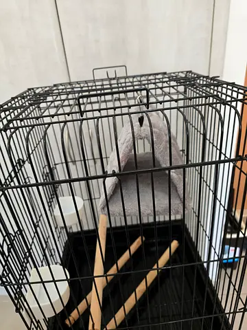 Bird Hanging Hammock - Not used, good condition