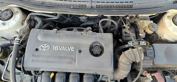 2006 Toyota COROLLA 照片 10