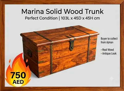 Marina solid wood Trunk- chest