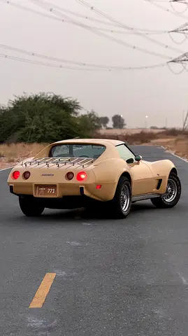 1977 Chevrolet CORVETTE — фото 4