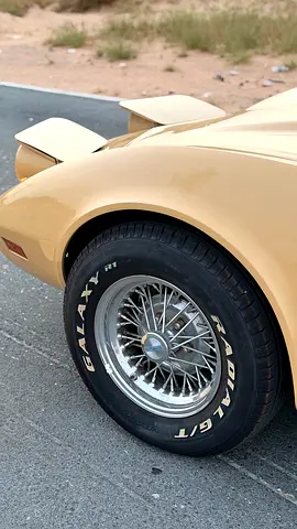 1977 Chevrolet CORVETTE — фото 10