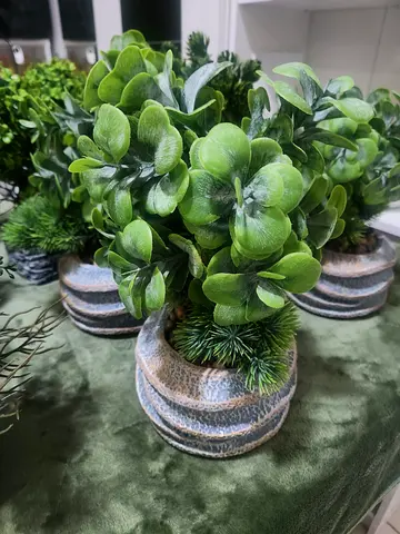 Artificial Plants Assorted