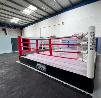Pro Boxing Ring with Ropes and Corner Pads - excellent Condition
