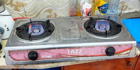 Portable 2-Burner Gas Stove - Stainless Steel