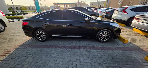 2012 Hyundai AZERA 照片 13