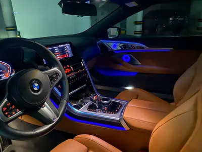 2019 BMW 8-SERIES — фото 6