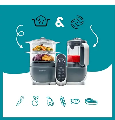 Babymoov Nutribaby (+) Food Processor & Blender - Grey