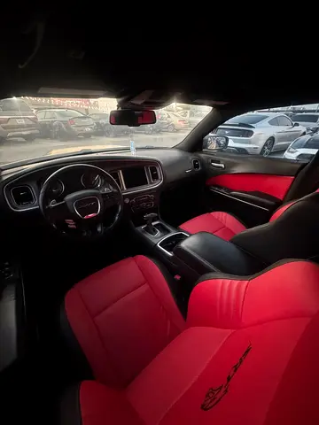 2019 Dodge CHARGER 缩略图 11