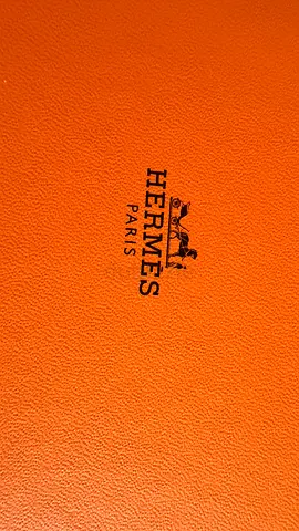 Hermes Paris Tie Unwanted Gift