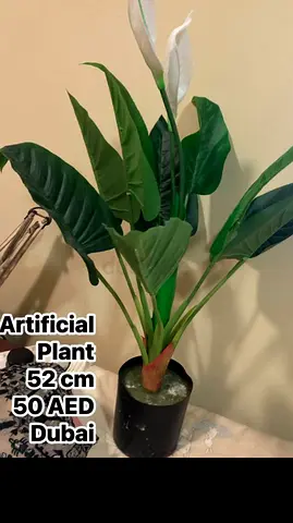 Artificial Plant