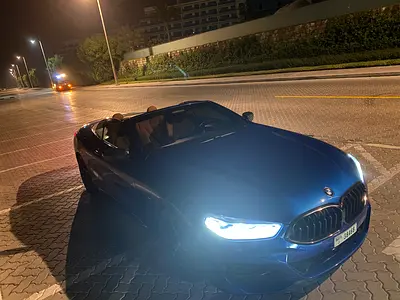 2019 BMW 8-SERIES — фото 2