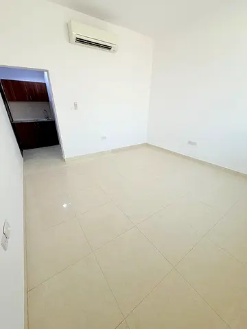 Amazing Spacious Studio -Kitchen