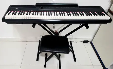 Steiner P-118 88-key Digital Piano - Excellent Condition