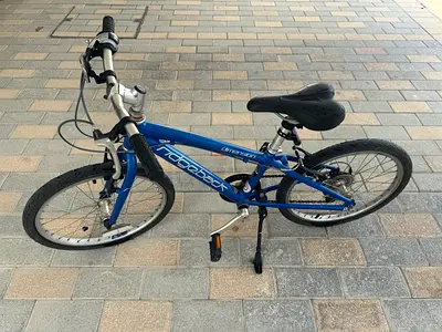 Ridgeback Dimension Kids Bike – 20” Wheels – Blue