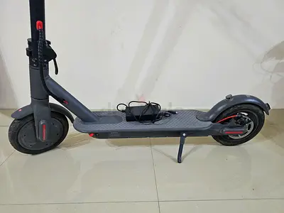 Electric scooter for adults