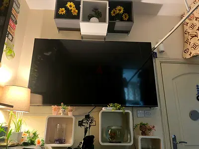 75-inch hisense LED TV mounted with wall shelf