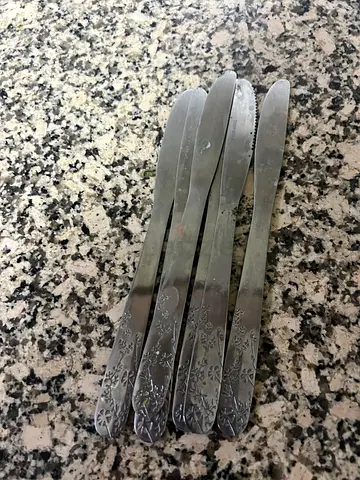 Set of 6 Stainless Steel Butter/Tea Knives with Floral Handles