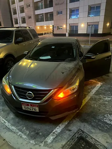المشرف