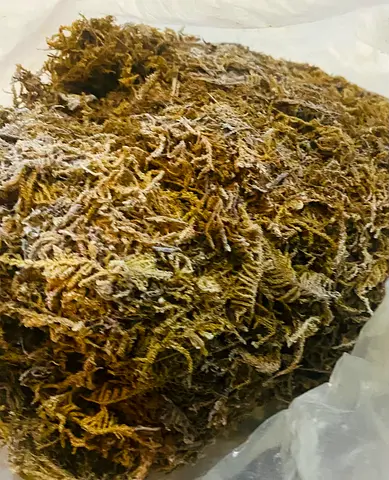 Coconut peat block & Long Fiber Sphagnum Natural Moss for Orchid