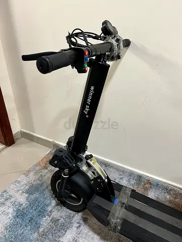 Electric scooter winner sky