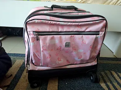 Wires trolley school bag. Free lunch bag.  Free pencil case