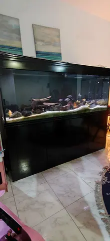 2 meter aquarium with sump