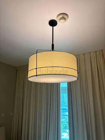 Westelm ceiling lamp x2
