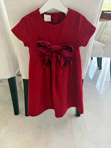 Zara dress