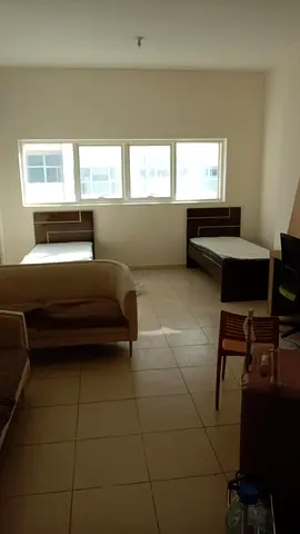 Carpenter furniture fixing electric work