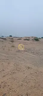 Residential Land for Sale in Al Hoshi Al Badi Sharjah 20,000 Sq Ft G+1 Cash Sale Near Park Easy Acce