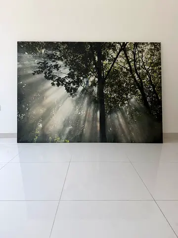 IKEA BJÖRKSTA Large Canvas Wall Art – 200 × 140 cm
