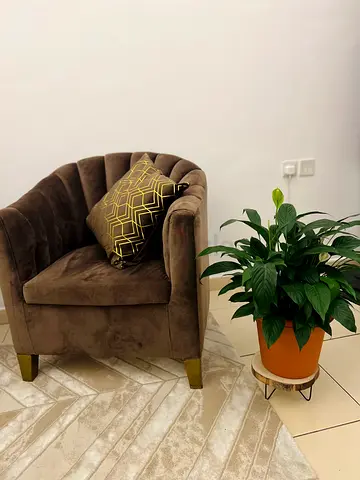 Brown velvet tub armchair with gold legs
