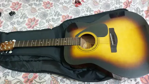 Acoustic guitar