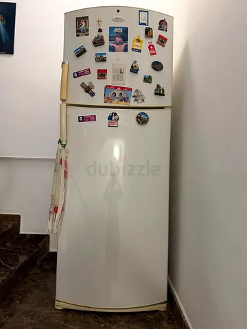 Fridge