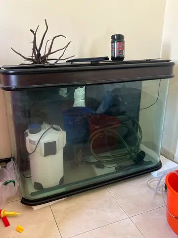 Fish tank with canister filter