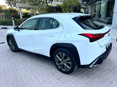 2019 Lexus UX-SERIES 照片 7