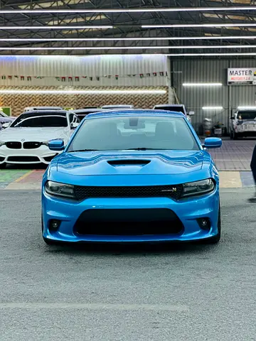 2015 Dodge CHARGER 照片 10