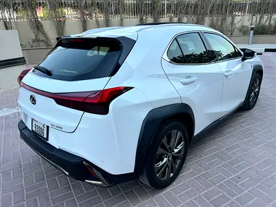 2019 Lexus UX-SERIES 照片 8