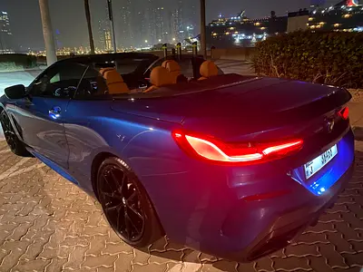 2019 BMW 8-SERIES — фото 3