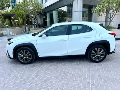 2019 Lexus UX-SERIES 照片 6