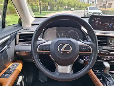 2021 Lexus RX-SERIES 缩略图 19