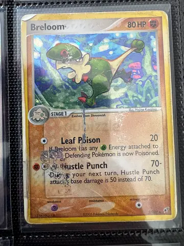 Breloom - Holo - Ex Deoxys / Regice - Rare - Ex Holon Phantoms