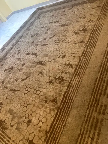 Large beige patterned carpet — gently used, good condition 250x350